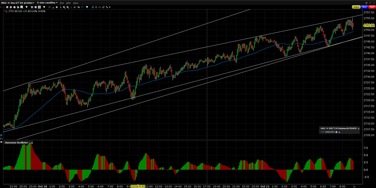 GOLD MCG futures 2024 10 21